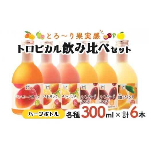 ふるさと納税 果汁飲料 マンゴー 宮崎県 串間市 G-A1 驚きの果実感 トロピカルフルーツドリンク...