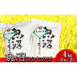 ふるさと納税 新潟県 魚沼市 [No.5762-0318][令和5年産]魚沼コシヒカリ　鳥屋ヶ峰山麓米(精米)４kg(2kg×2)