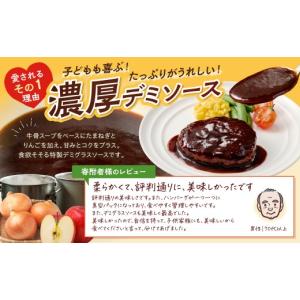 ふるさと納税 肉 ハンバーグ 福岡県 飯塚市 ...の詳細画像4