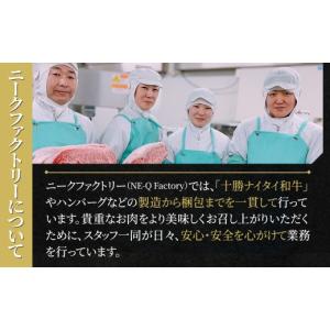 ふるさと納税 肉 ハンバーグ 北海道 上士幌町...の詳細画像5