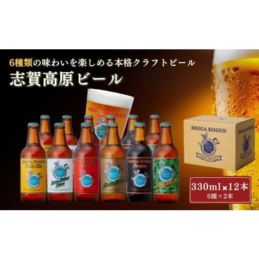 ふるさと納税 ビール 地ビール 長野県 山ノ内町 玉村本店 志賀高原ビール12本セット クラフトビー...