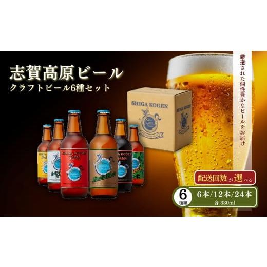 ふるさと納税 ビール 地ビール 長野県 山ノ内町 玉村本店 志賀高原ビール24本セット クラフトビー...