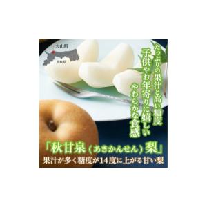 ふるさと納税 鳥取県 大山町 【令和6年先行予約】DS-04　秋甘泉梨（あきかんせんなし）（５ｋｇ）