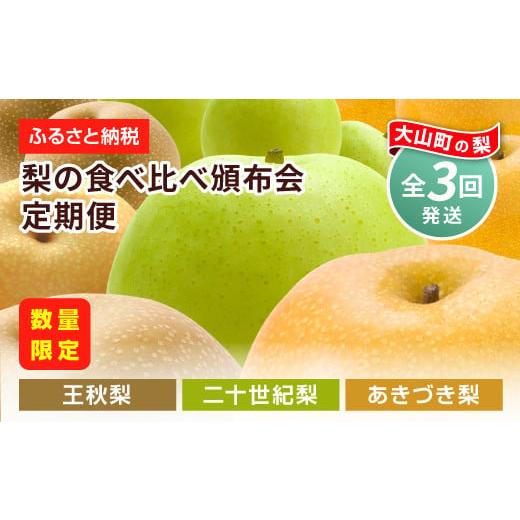 ふるさと納税 梨 鳥取県 大山町  先行予約 DS-11　梨の食べ比べ定期便（二十世紀梨・あきづき梨...