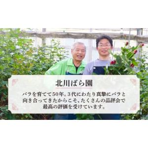 ふるさと納税 雑貨・日用品 花 埼玉県 上尾市...の詳細画像4