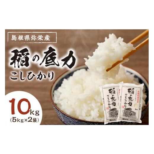 ふるさと納税 島根県 浜田市 【令和5年産】浜田産「稲の底力こしひかり」10kg お取り寄せ 特産 ...