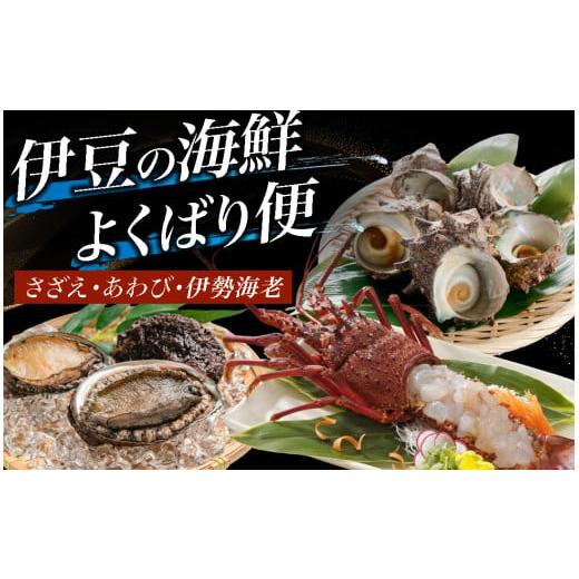 ふるさと納税 魚貝類 アワビ 静岡県 南伊豆町 伊豆の海鮮よくばり便　~海産物詰め合わせ~　 伊勢海...