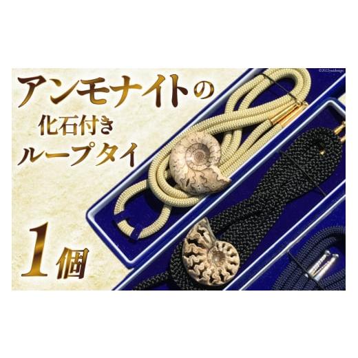 ふるさと納税 北海道 歌志内市 北海道産 アンモナイト ループタイ 1個 ／ 加藤樹石苑 ／ 北海道...