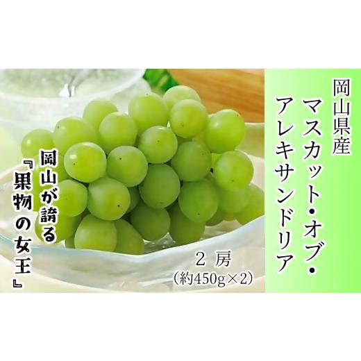 ふるさと納税 岡山県 - マスカット・オブ・アレキサンドリア 2房 【数量限定５００セット】