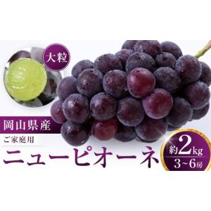 ふるさと納税 果物類 ぶどう 岡山県 - 先行予約 ニューピオーネ 2kg （3〜6房） ご家庭用 岡山 ピオーネ ピオーネ 大粒 ぶどう ブドウ 葡萄 果物 種無し くだ…