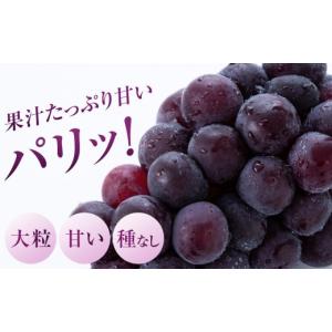 ふるさと納税 果物類 ぶどう 岡山県 - 先行...の詳細画像2