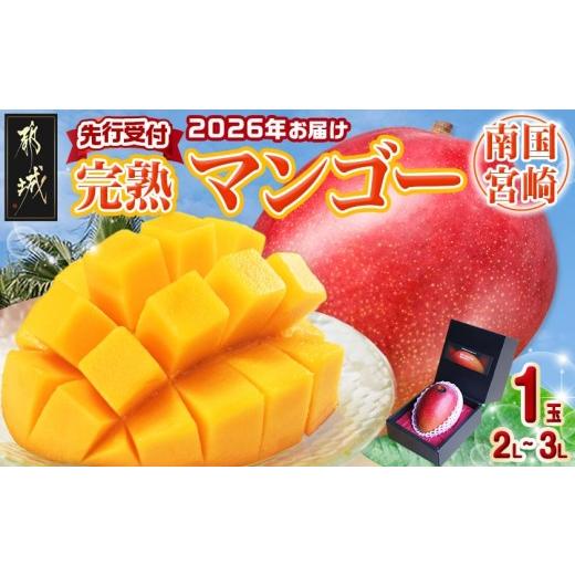 ふるさと納税 マンゴー 宮崎県 都城市  先行受付 宮崎完熟マンゴー1玉(都城産)_MJ-3301_...