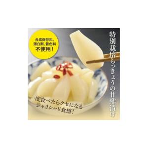 ふるさと納税 加工品等 漬物 鳥取県 鳥取市 ...の詳細画像2
