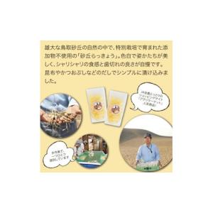 ふるさと納税 加工品等 漬物 鳥取県 鳥取市 ...の詳細画像3