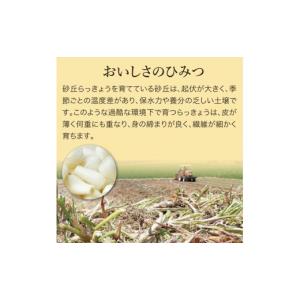 ふるさと納税 加工品等 漬物 鳥取県 鳥取市 ...の詳細画像4