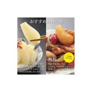 ふるさと納税 加工品等 漬物 鳥取県 鳥取市 ...の詳細画像5