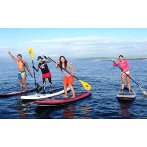 ふるさと納税 スポーツ・アウトドア 神奈川県 茅ヶ崎市 艇庫サービス(１年間)＆SUP体験スクール(５回分) 体験チケット チケット