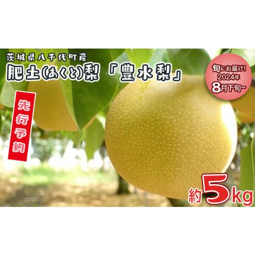 ふるさと納税 茨城県 八千代町 【 先行予約 】【 8月下旬 以降発送】 八千代町産 肥土 （ あく...