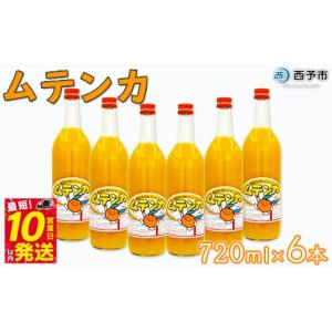 ふるさと納税 果汁飲料 愛媛県 西予市 明浜みか...の商品画像