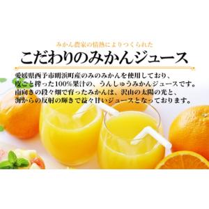 ふるさと納税 果汁飲料 愛媛県 西予市 明浜み...の詳細画像3