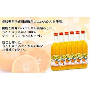 ふるさと納税 果汁飲料 愛媛県 西予市 明浜み...の詳細画像4