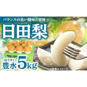 ふるさと納税 梨 大分県 日田市 先行予約・2...の詳細画像1