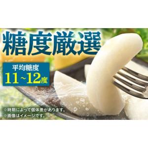 ふるさと納税 梨 大分県 日田市 先行予約・2...の詳細画像2