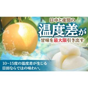 ふるさと納税 梨 大分県 日田市 先行予約・2...の詳細画像3