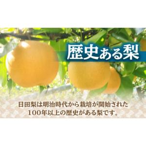 ふるさと納税 梨 大分県 日田市 先行予約・2...の詳細画像4