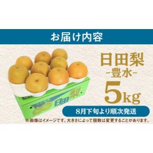 ふるさと納税 梨 大分県 日田市 先行予約・2...の詳細画像5