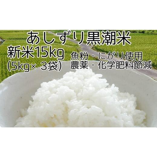 ふるさと納税 高知県 土佐清水市 令和5年産 あしずり黒潮米15kg（5kg×3袋）【コシヒカリ】精...