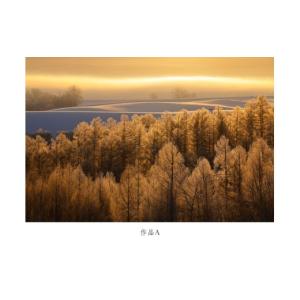 ふるさと納税 雑貨・日用品 写真 北海道 美瑛...の詳細画像2