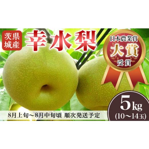 ふるさと納税 梨 茨城県 下妻市  先行予約 茨城県産「幸水梨」約5kg 2025年8月上旬〜8月中...