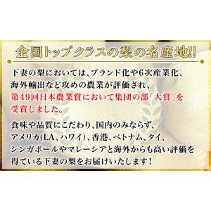 ふるさと納税 梨 茨城県 下妻市 先行予約 茨...の詳細画像2