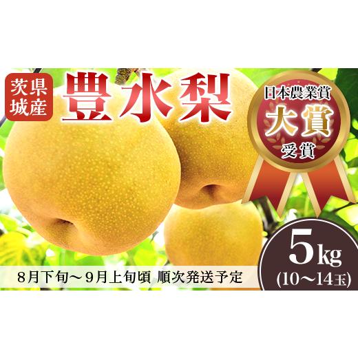 ふるさと納税 梨 茨城県 下妻市  先行予約 茨城県産 「 豊水梨 」 約5kg 2026年8月下旬...