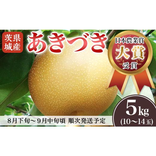 ふるさと納税 梨 茨城県 下妻市  先行予約 茨城県産 「 あきづき 」 約5kg 2026年8月下...
