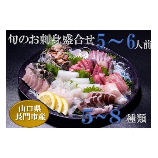 ふるさと納税 山口県 長門市 (1316)刺身 刺身盛り合わせ 「旬のお刺身盛り合わせ」 仙崎 地魚...