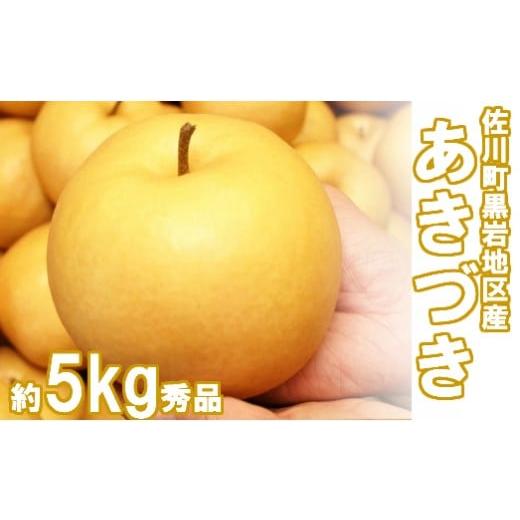 ふるさと納税 高知県 佐川町 &lt;2024年9月中旬より発送予定&gt;あきづき　梨（約５kg／8〜12玉）...