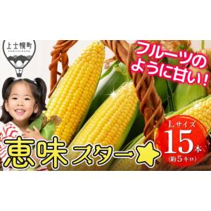 ふるさと納税 八千代町 2026年6月中旬以降発送 深夜採り とうもろこし