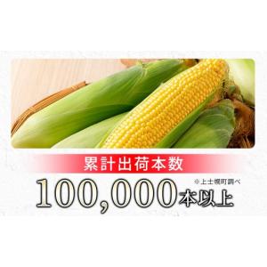 ふるさと納税 とうもろこし 北海道 上士幌町 ...の詳細画像3
