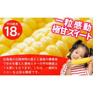 ふるさと納税 とうもろこし 北海道 上士幌町 ...の詳細画像4