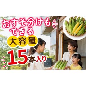 ふるさと納税 とうもろこし 北海道 上士幌町 ...の詳細画像5