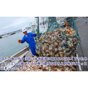 ふるさと納税 魚貝類 ホタテ 北海道 紋別市 ...の詳細画像3