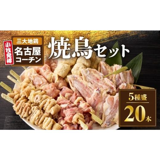 ふるさと納税 鶏肉 愛知県 小牧市 名古屋コーチン焼鳥　5種20本セット（もも・むね・手羽中・皮・つ...
