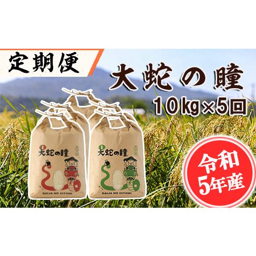 ふるさと納税 熊本県 南関町 【定期便 5回】大蛇の瞳 白米 10kg×5回