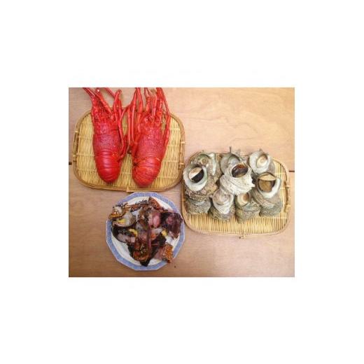 ふるさと納税 サザエ 静岡県 下田市  伊豆の恵み3種　Dセット ボイルサザエ・味噌汁用カット伊勢海...