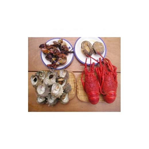 ふるさと納税 サザエ 静岡県 下田市  伊豆の恵み4種　大盛り ボイルサザエ・味噌汁用カット伊勢海老...