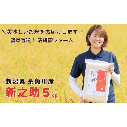 ふるさと納税 米 新潟県 糸魚川市 令和7年産 『 新之助 』 米 5kg 農家直送 真空パック 清...