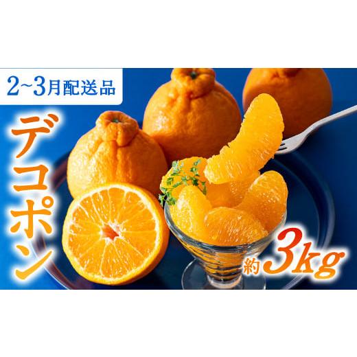 ふるさと納税 みかん・柑橘類 デコポン 福岡県 新宮町 AA075. 昨年も大人気 デコポン(約3k...
