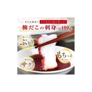 ふるさと納税 タコ 北海道 白糠町 「しらぬか...の詳細画像5